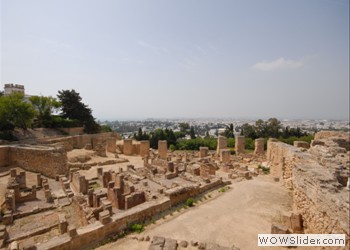 Carthage Ruins, Tunisia