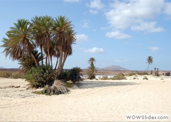 Desert in Cape Verde