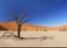 Namib Desert, Namibia