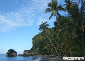 Beach in St. Lucia