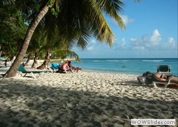 Hotel Booking in Dover Beach, Barbados