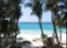 Palms and Beach, Cuba