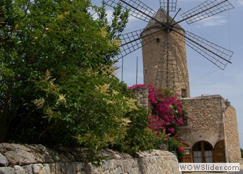 Windmill in Mallorca