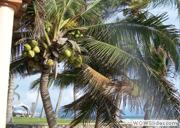 Puerto Vallarta, Mexico